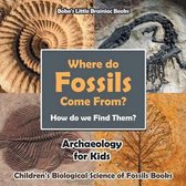 Where Do Fossils Come From? How Do We Find Them? Archaeology for Kids - Children's Biological Science of Fossils Books