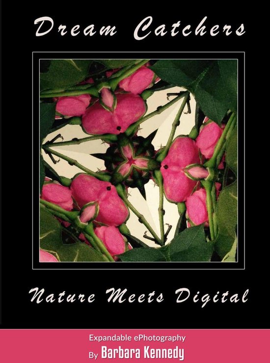 DREAM CATCHERS - Nature Meets Digital - cover