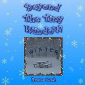 Beyond The Tiny Window: Winter