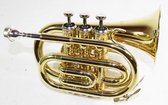 Cherrystone Pocket Trompet Goud