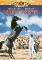 Black Stallion Returns