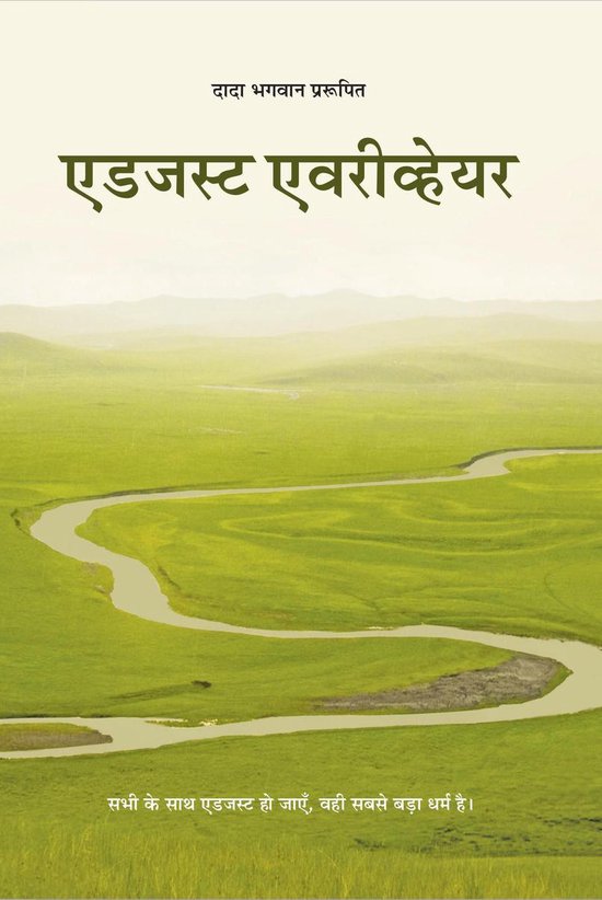 Omslag van ऐडजस्ट एवरीव्हेयर