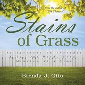 Boek cover Stains of Grass van Brenda J. Otto