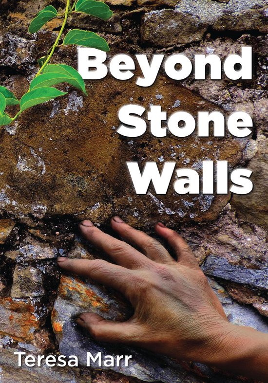 Omslag van Beyond Stone Walls