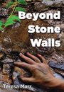 Omslag Beyond Stone Walls