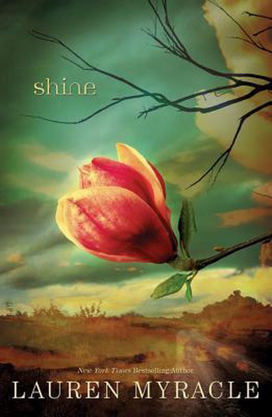 Shine - cover