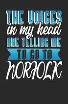 The Voices In My Head Are Telling Me To Go To Norfolk