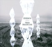 Trio Brancusi - Trios (CD)