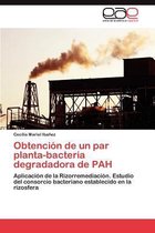Obtencion de Un Par Planta-Bacteria Degradadora de Pah