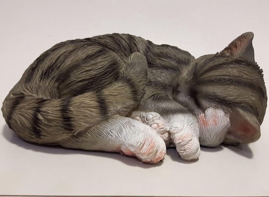 Koor omhelzing Fractie levensechte slapende kat grijs, van polystone | bol.com