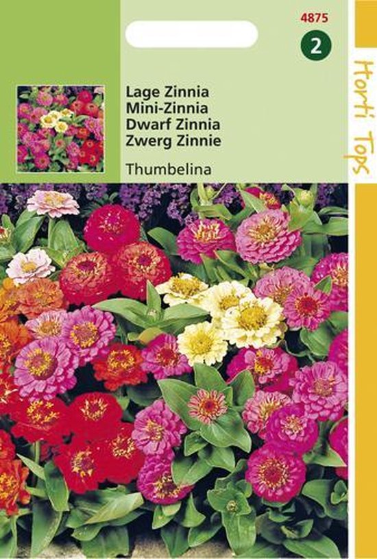 Foto: Hortitops zaden zinnia thumbelina gemengd