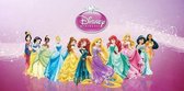 Geheugenspel van Disney Princess in hartvormig metalen doosje