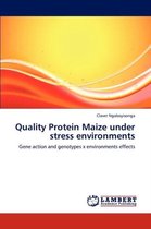 Quality Protein Maize under stress environments
