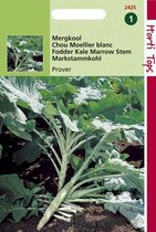 Hortitops Zaden - Mergkool groene of witte