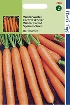 Hortitops Seeds - Carottes Berlikumer 3