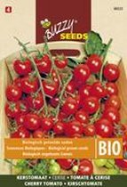 Buzzy® Seeds Bio Kerstomaat Cerise
