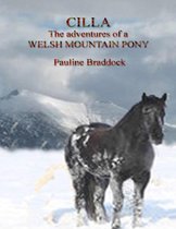 Cilla: The Adventures of a Welsh Mountain Pony