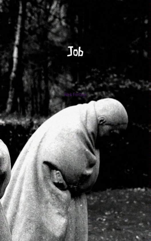 Cover van het boek 'Job'
