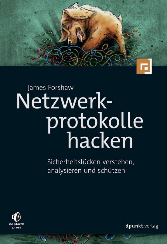 Netzwerkprotokolle hacken - cover