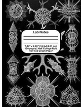 Lab Notes