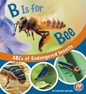 B Is for Bees