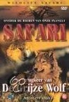 Safari - Grijze Wolf