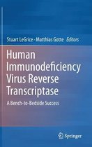 Human Immunodeficiency Virus Reverse Transcriptase