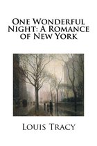 One Wonderful Night: A Romance of New York