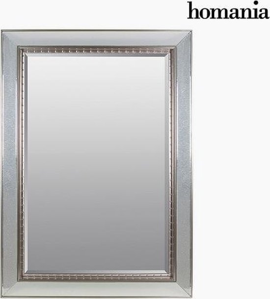 Plotselinge afdaling Rudyard Kipling aanraken Spiegel Synthetische hars Afgeschuind glas Zilver (80 x 4 x 110 cm) by  Homania | bol.com
