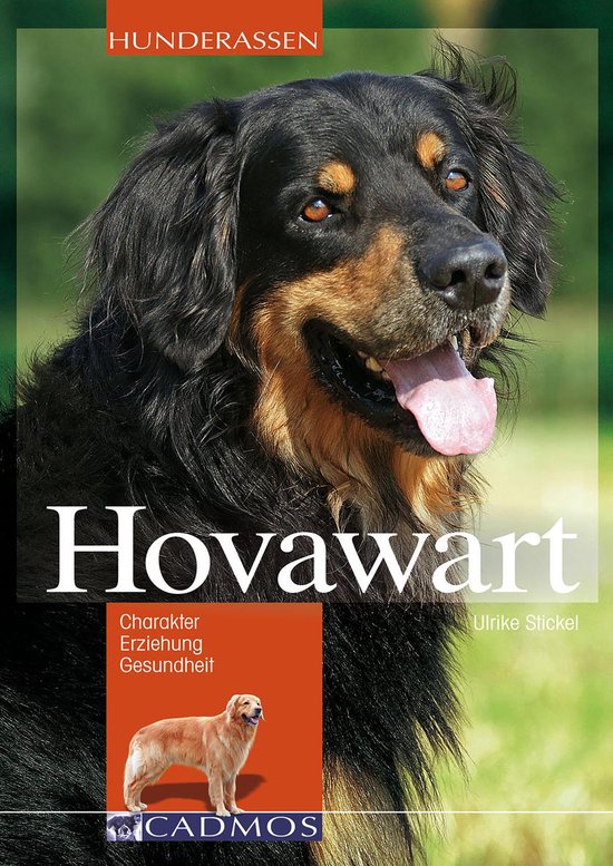 Hunderassen - Hovawart - cover