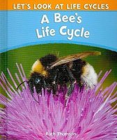 A Bee's Life Cycle
