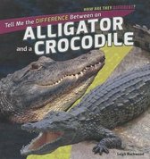 How Are They Different?- Tell Me the Difference Between an Alligator and a Crocodile