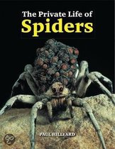 The Private Life of Spiders