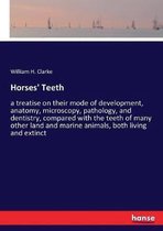 Horses' Teeth