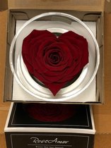 Donker rode rozen kop in hartvorm