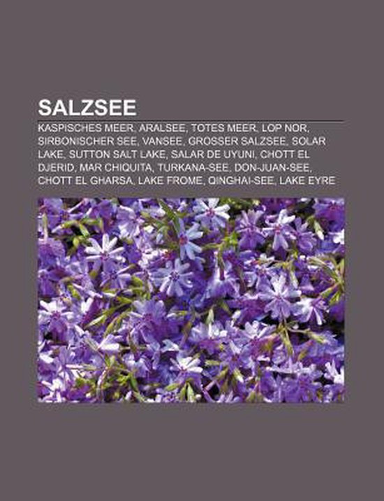 Salzsee - cover