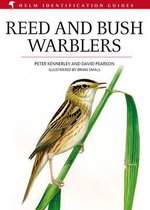 Reed And Bush Warblers