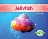 Ocean Life - Jellyfish
