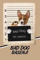 Bad Dog Basenji