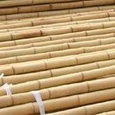 Intergard bamboestokken tonkinstokken - 180cm (250st)