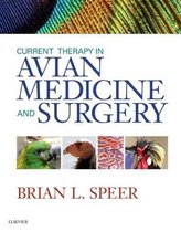 Current Therapy Avian Medicine & Surgery