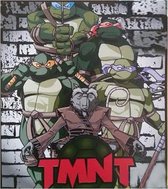 Ninja Turtles Dekbedovertrek TMNT - Eenpersoons - 140x200 cm - Multi