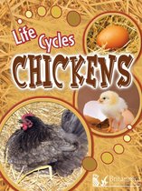 Life Cycles - Chickens