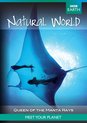 Dvd - Natural World Collection Queen Of