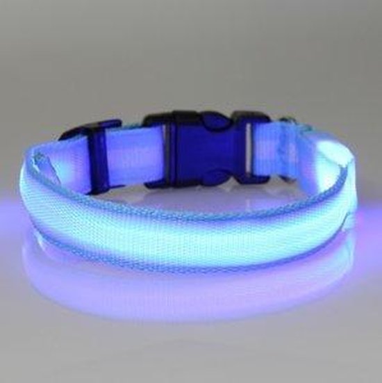 hondenhalsband led verlichting large blauw | bol.com