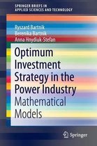 Optimum Investment Strategy in the Power Industry