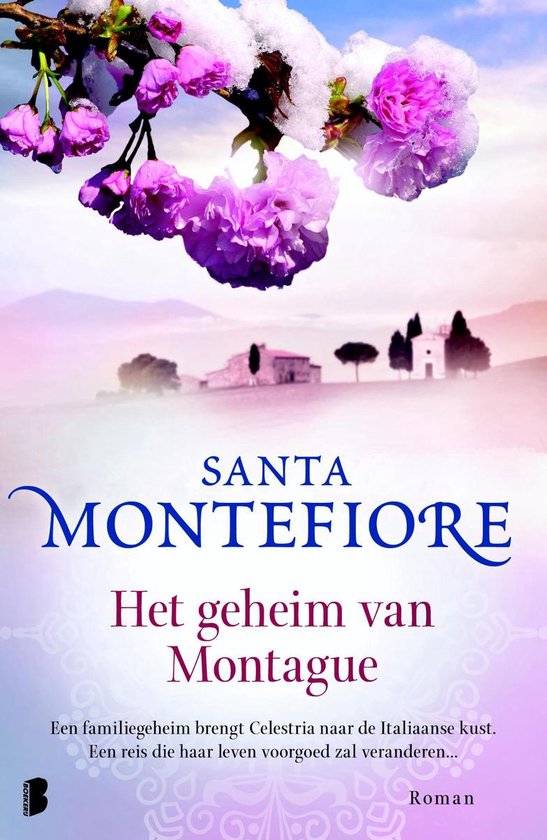 Cover van het boek 'Het geheim van Montague'