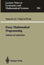 Fuzzy Mathematical Programming