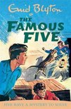 Famous Five Mystery To Solve Bk 20
