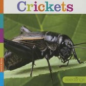 Seedlings- Crickets